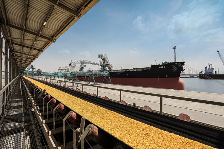 King Abdullah Port Is A Key Node In Facilitating The Kingdom S Trade   King Abdullah Port Conveyor Belt With Grain 750x500 